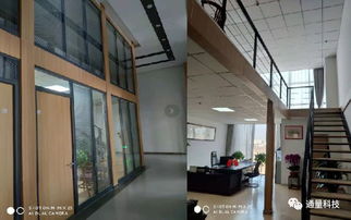 构建高效物流生态 从运营到合作的全面升级