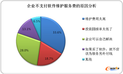 中国制造业企业级软件维护市场发展研究——基于精英文选的视角